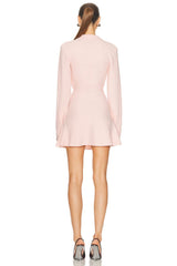 Collar Mini Dress